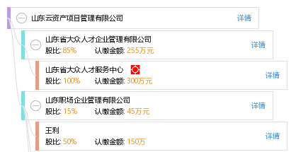 山东云资产项目管理